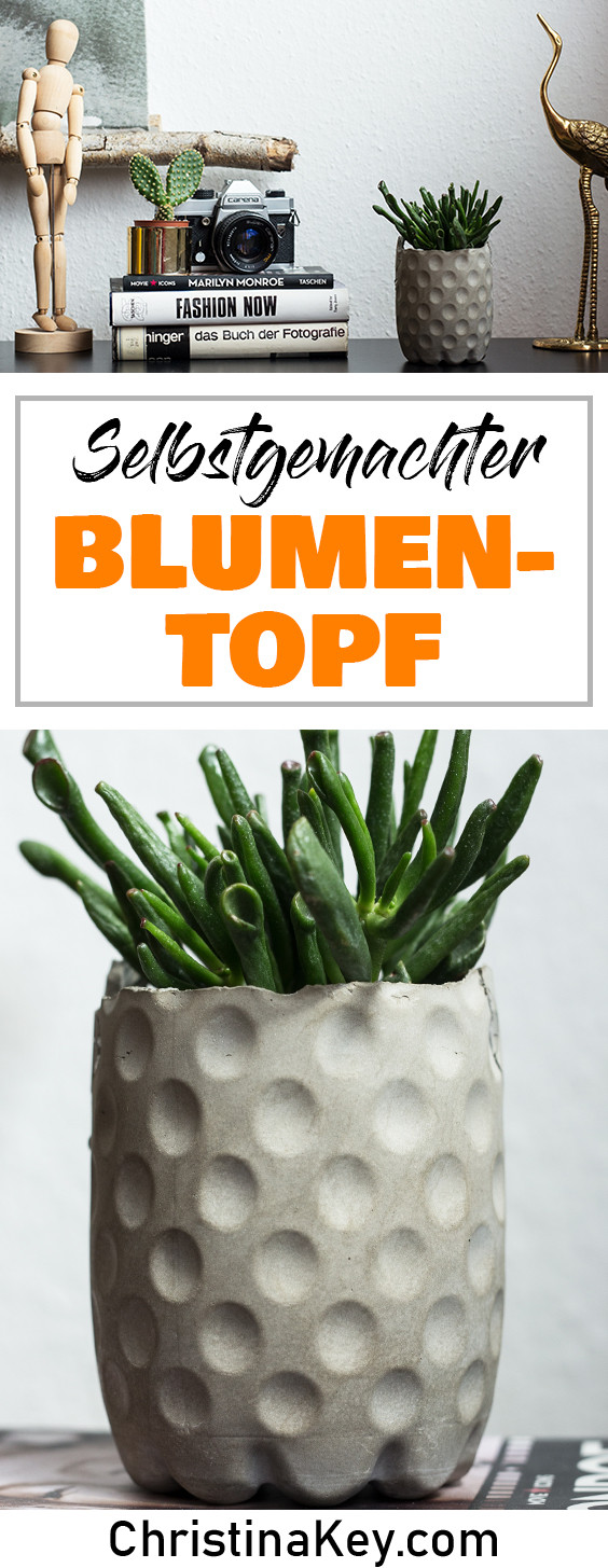 Diy Blumentopf
 DIY Blumentopf Kreative Fotografie Tipps und Foto Hacks