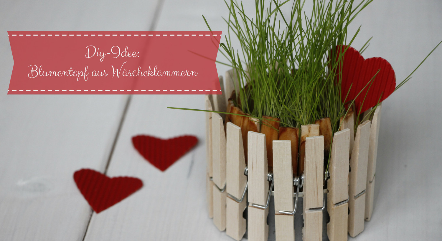 Diy Blumentopf
 Frühlingshafte DIY Idee Blumentopf aus Wäscheklammern