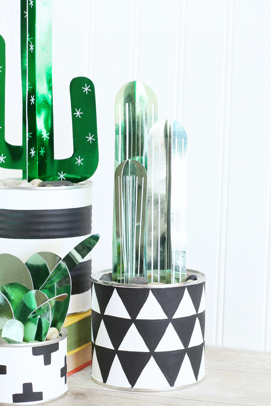 Diy Crafts
 DIY Cactus Plants