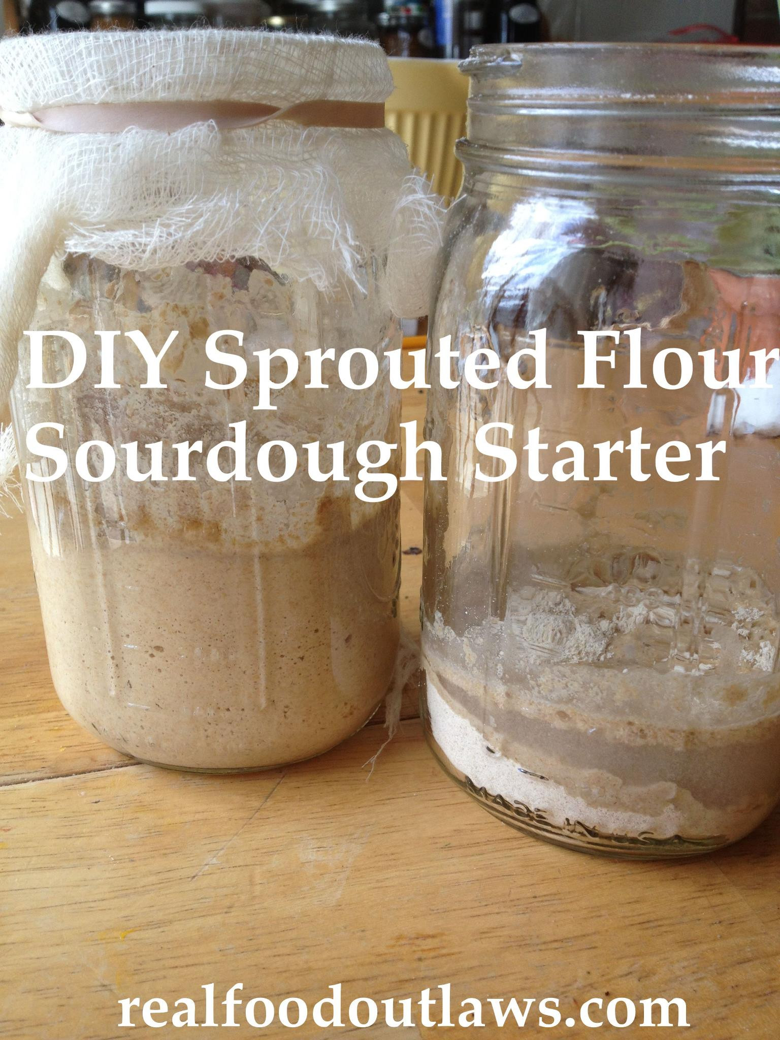 Diy Flur
 DIY Sprouted Flour Sourdough Starter Real Food Outlaws