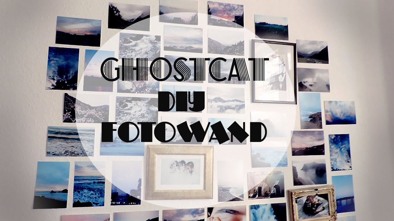 Diy Fotowand
 GHOSTCAT DIY Fotowand