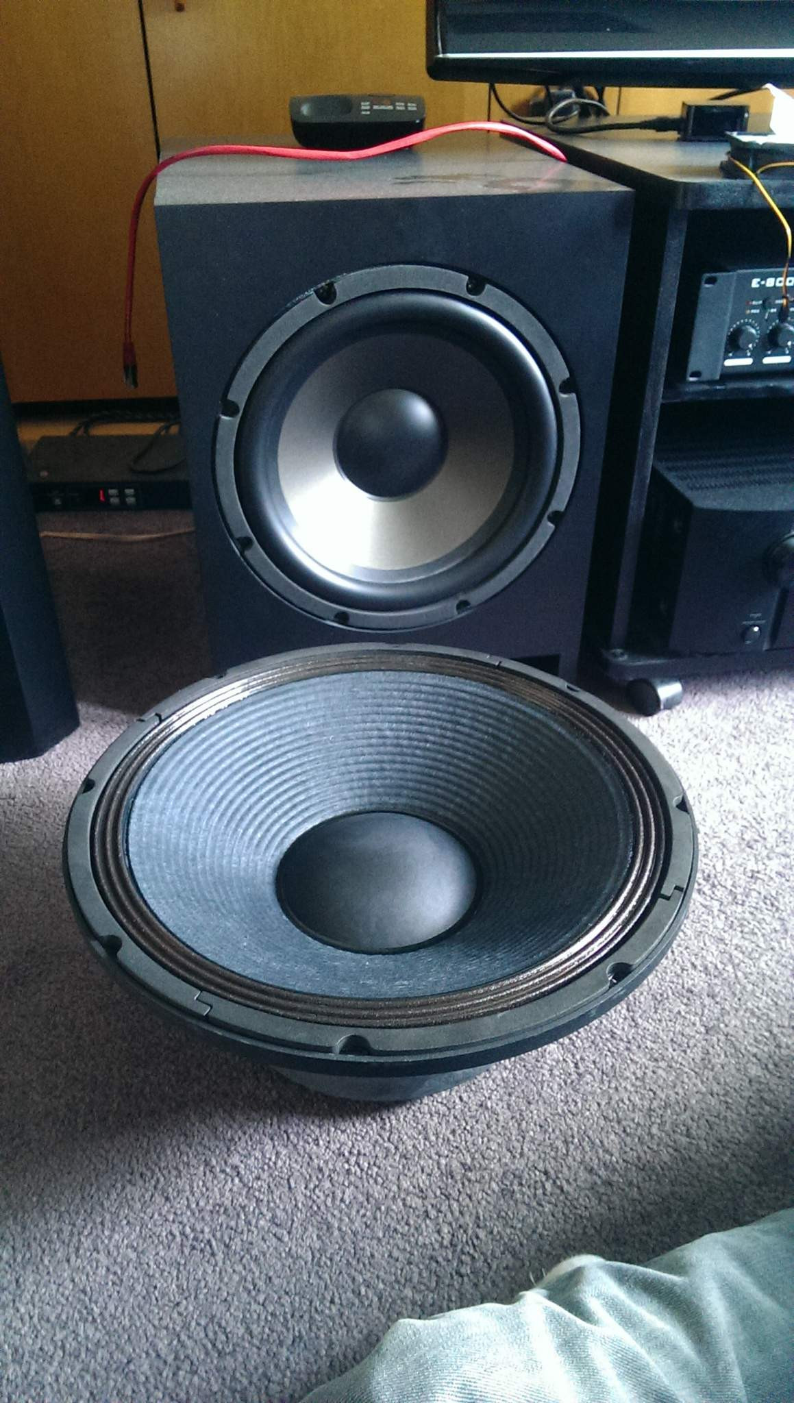 Diy-Hifi-Forum
 15" PA Kino Subwoofer Poison Nukes Forum