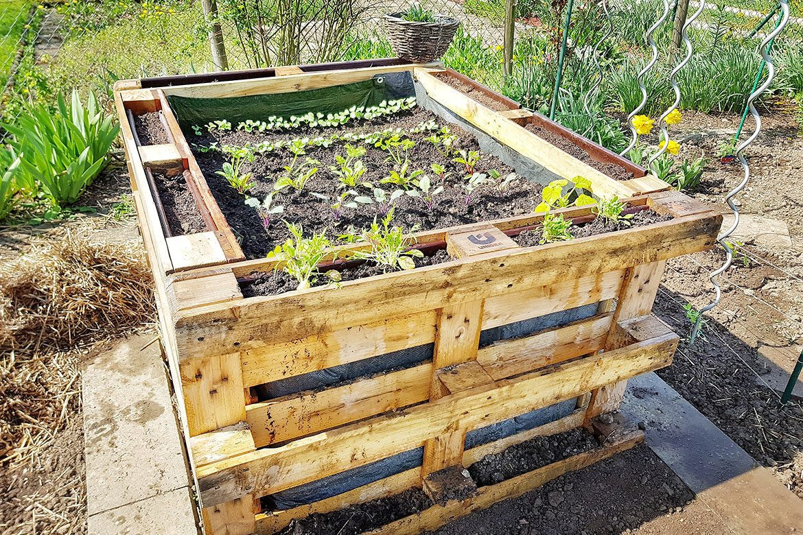 Diy Hochbeet
 Hochbeet aus Paletten bauen mit Anleitung