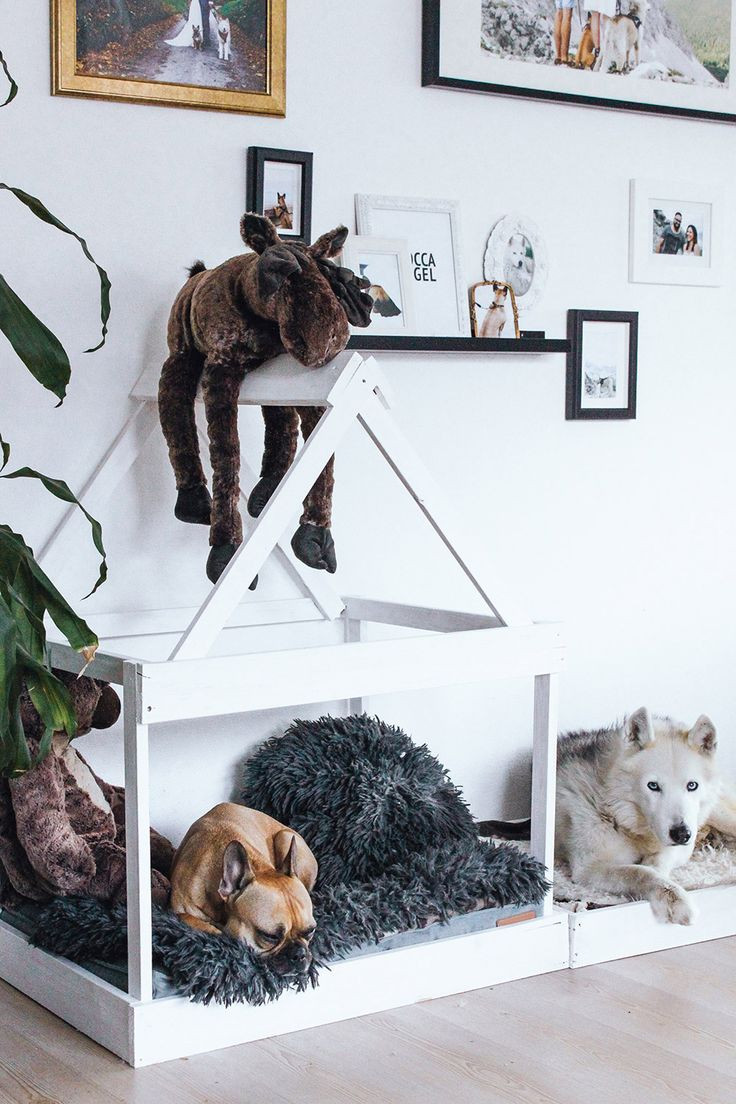 Diy Katzenhöhle
 Best 20 Selber bauen für katzen ideas on Pinterest