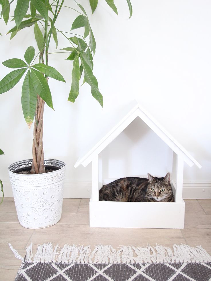 Diy Katzenhöhle
 Best 20 Selber bauen für katzen ideas on Pinterest