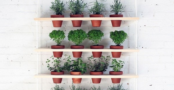 Diy Kräutergarten
 24 Indoor Herb Garden Ideas to Look for Inspiration