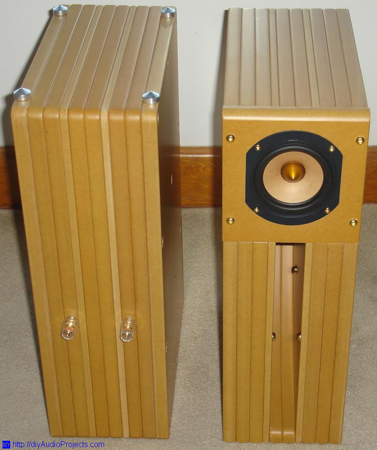 Diy Speaker
 Tang Band D4 1 DIY Back Horn Speaker Kit