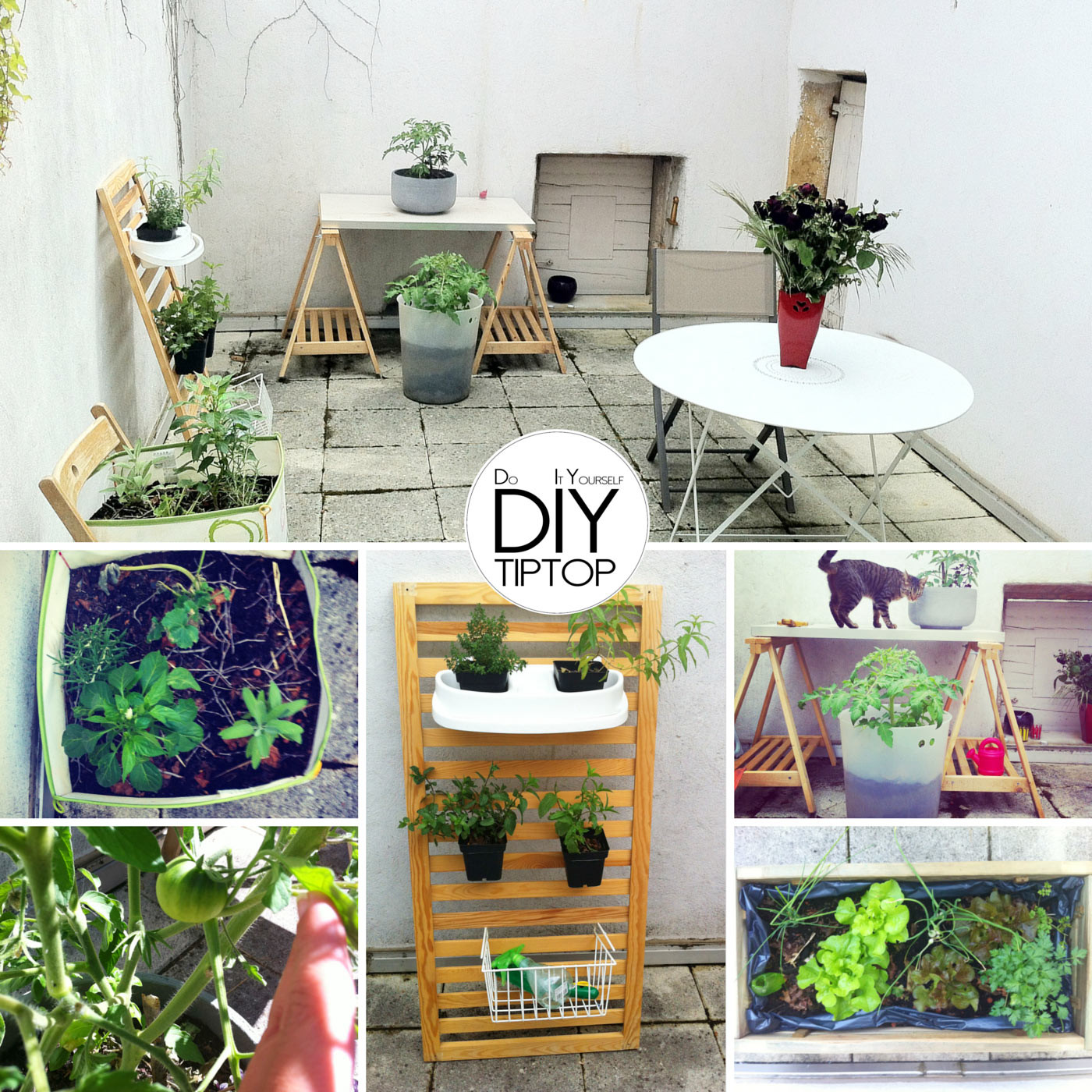 Diy Terrasse
 DIY – Un potager bio sur ma terrasse et dans le jardin