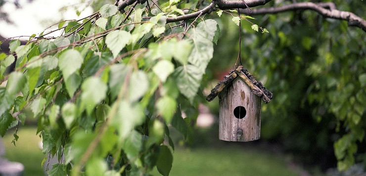 Diy Vogelhaus
 DIY Vogelhaus aus PVC Rohr – Upcycling Projekt