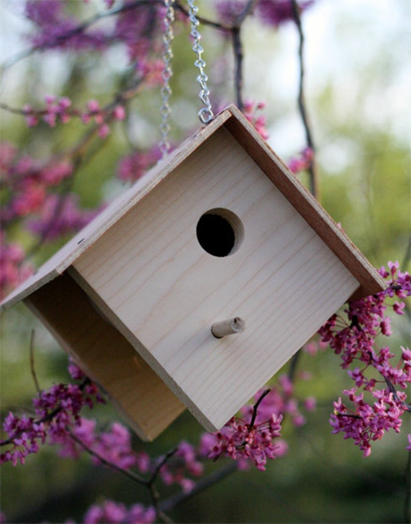 Diy Vogelhaus
 Vogelhaus selber bauen 34 prima Ideen