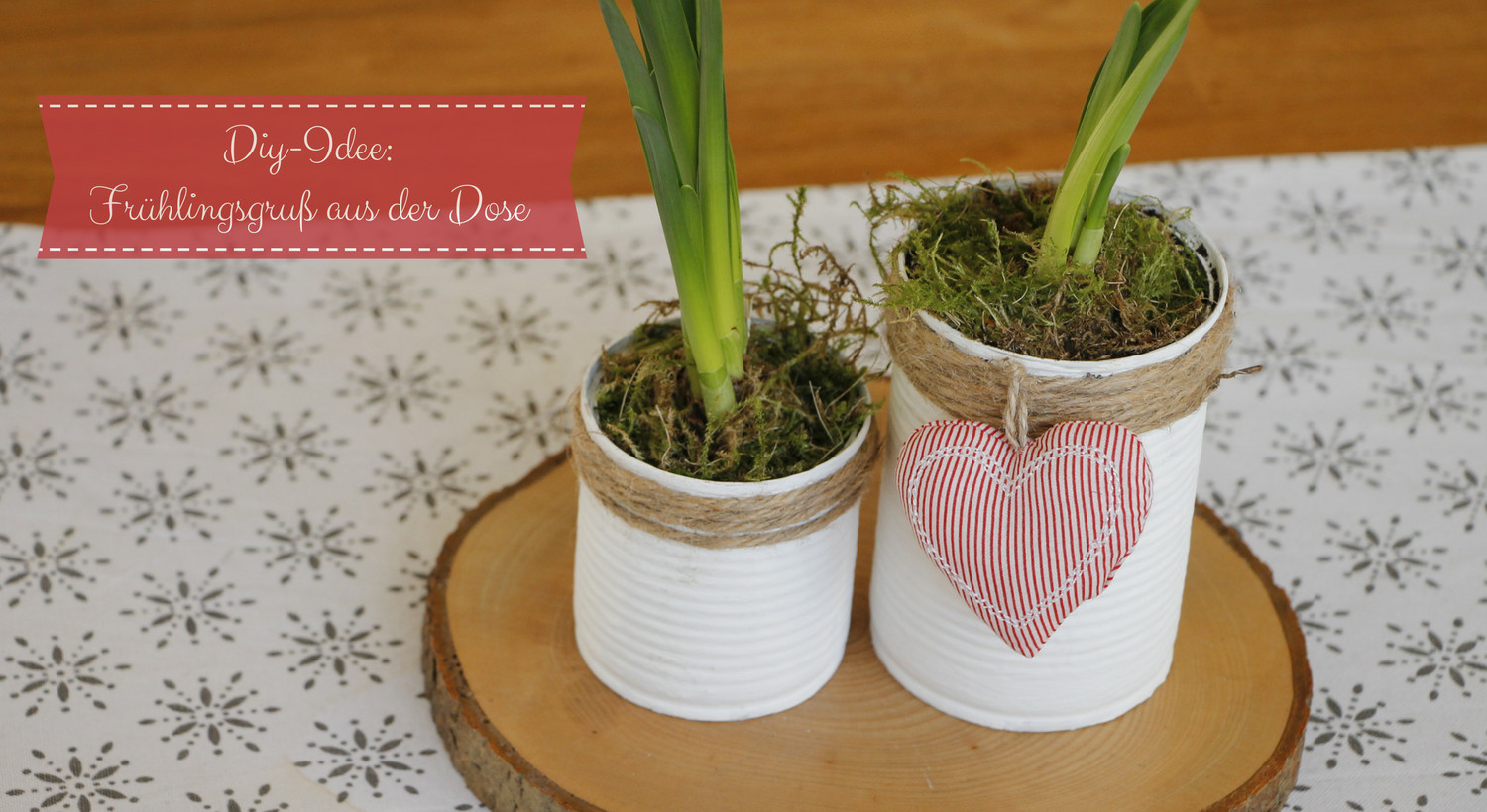 Dosen Diy
 DIY Idee Selbstgemachte Blumentöpfe aus Dosen Lavendelblog
