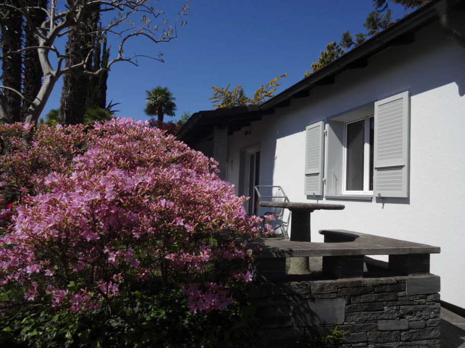 Eco Haus
 Ferienhaus Paradiso di vacanze Locarno Minusio Tessin