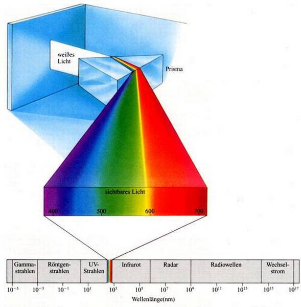 Eigenschaften Von Licht
 Algen "deep under" Zonierung und Anpasssung an das