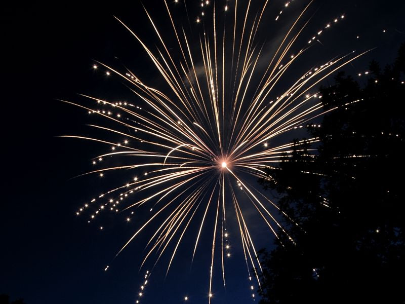 Feuerwerk Zur Hochzeit
 Feuerwerk zur Hochzeit in Fürth