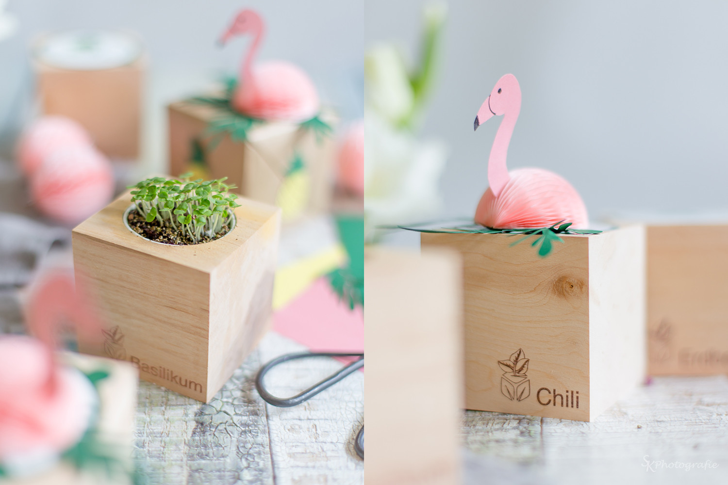 Flamingo Geschenke
 Sommerliche Geschenkidee Pflanzwürfel in einer tropischen