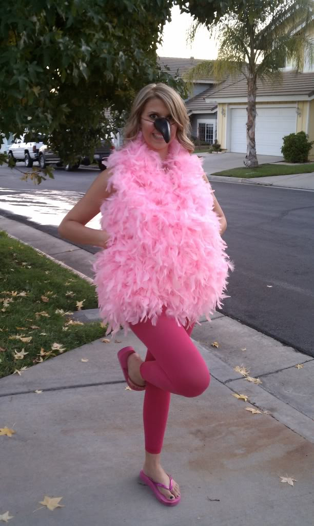 Flamingo Kostüm Diy
 ADULT DIY flamingo costume Really Awesome Costumes