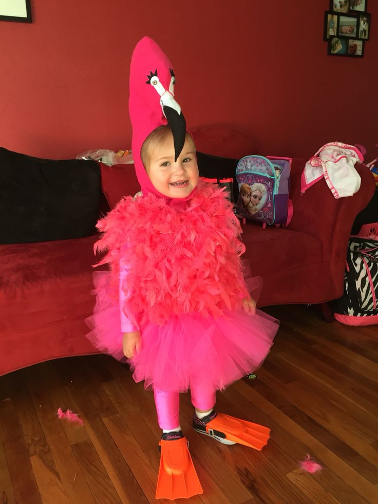 Flamingo Kostüm Diy
 Diy toddler flamingo costume halloween