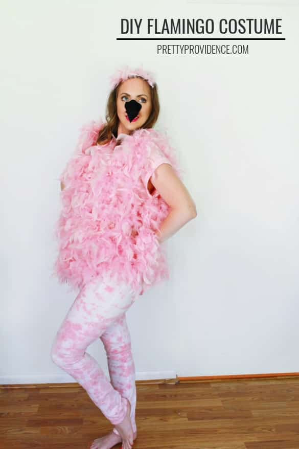 Flamingo Kostüm Diy
 DIY Flamingo Costume