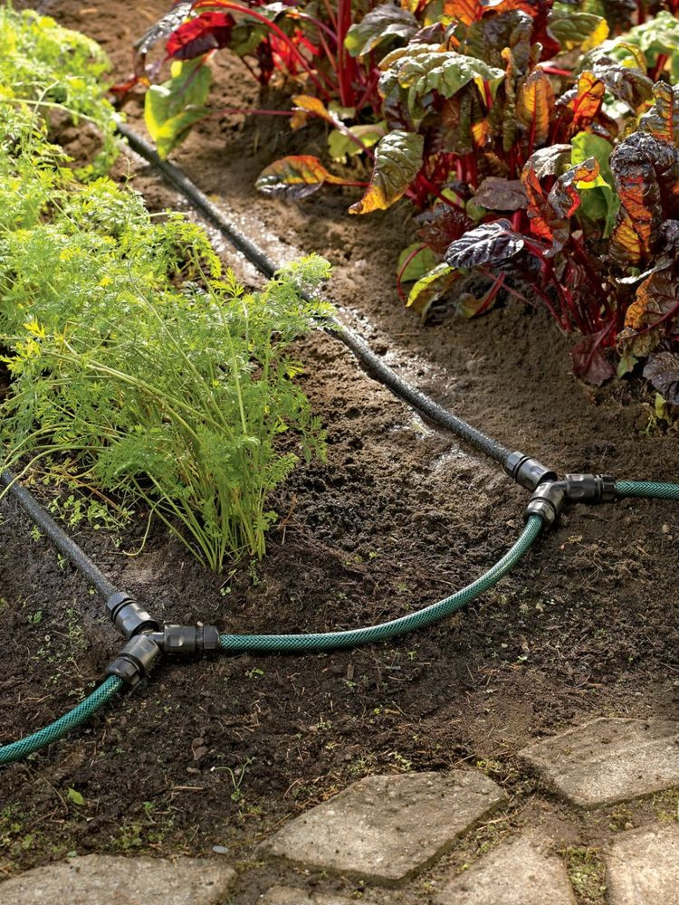 Garten Bewässerungssystem
 bewässerungssystem im garten tropfbewaesserung schlaeuche