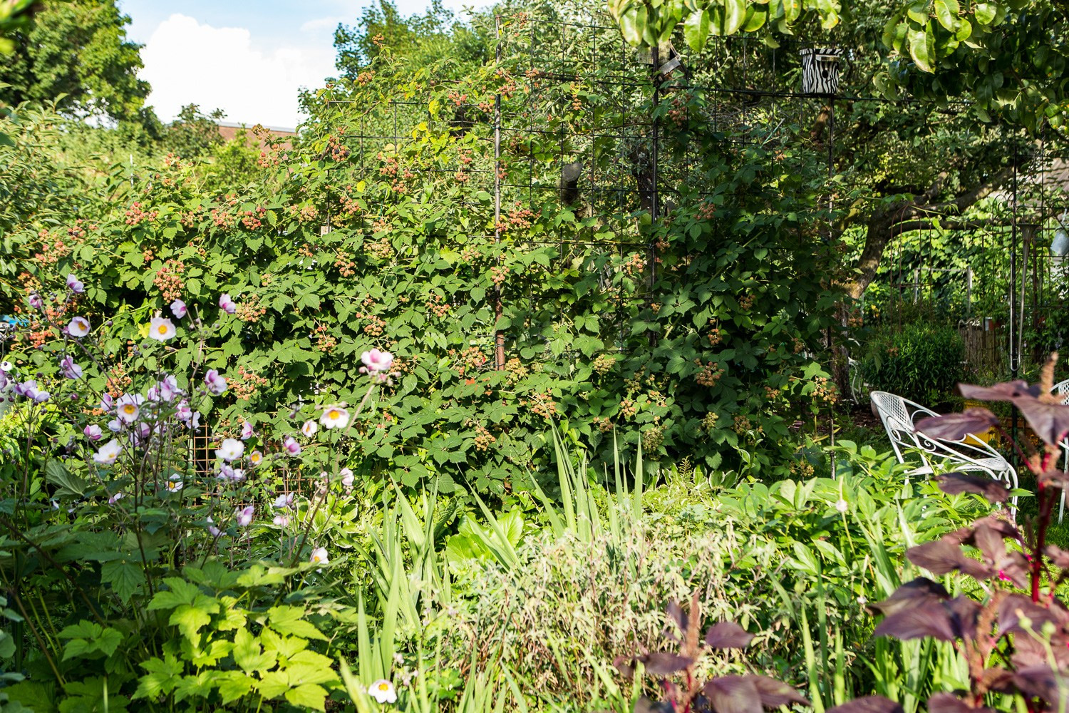 Garten Sichtschutz
 Sichtschutz Ideen für den Garten