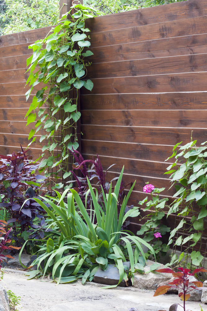 Garten Sichtschutz
 Sichtschutz für den kleinen Garten Die schönsten Ideen