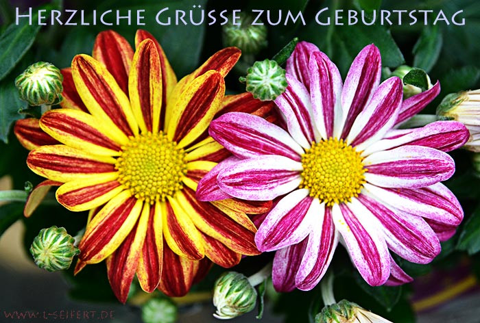 Geburtstag Blumen Bilder
 Blumen sind das beliebteste Geschenk zum Geburtstag