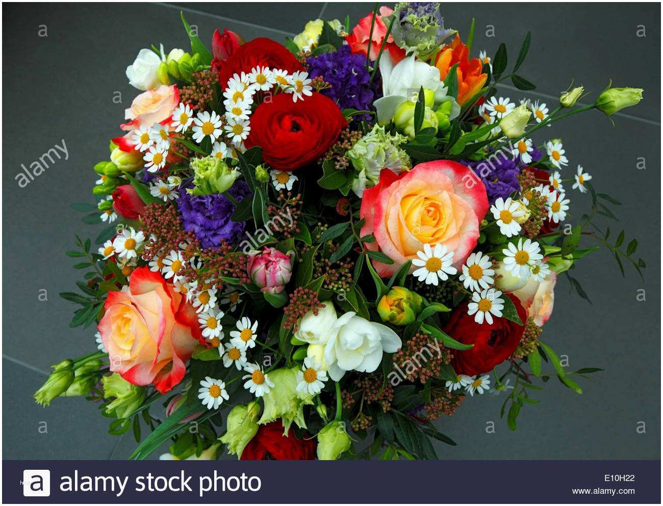 Geburtstag Blumen Bilder
 Blumen Geburtstag Bilder Kostenlos Erstaunlich Blumen Zum