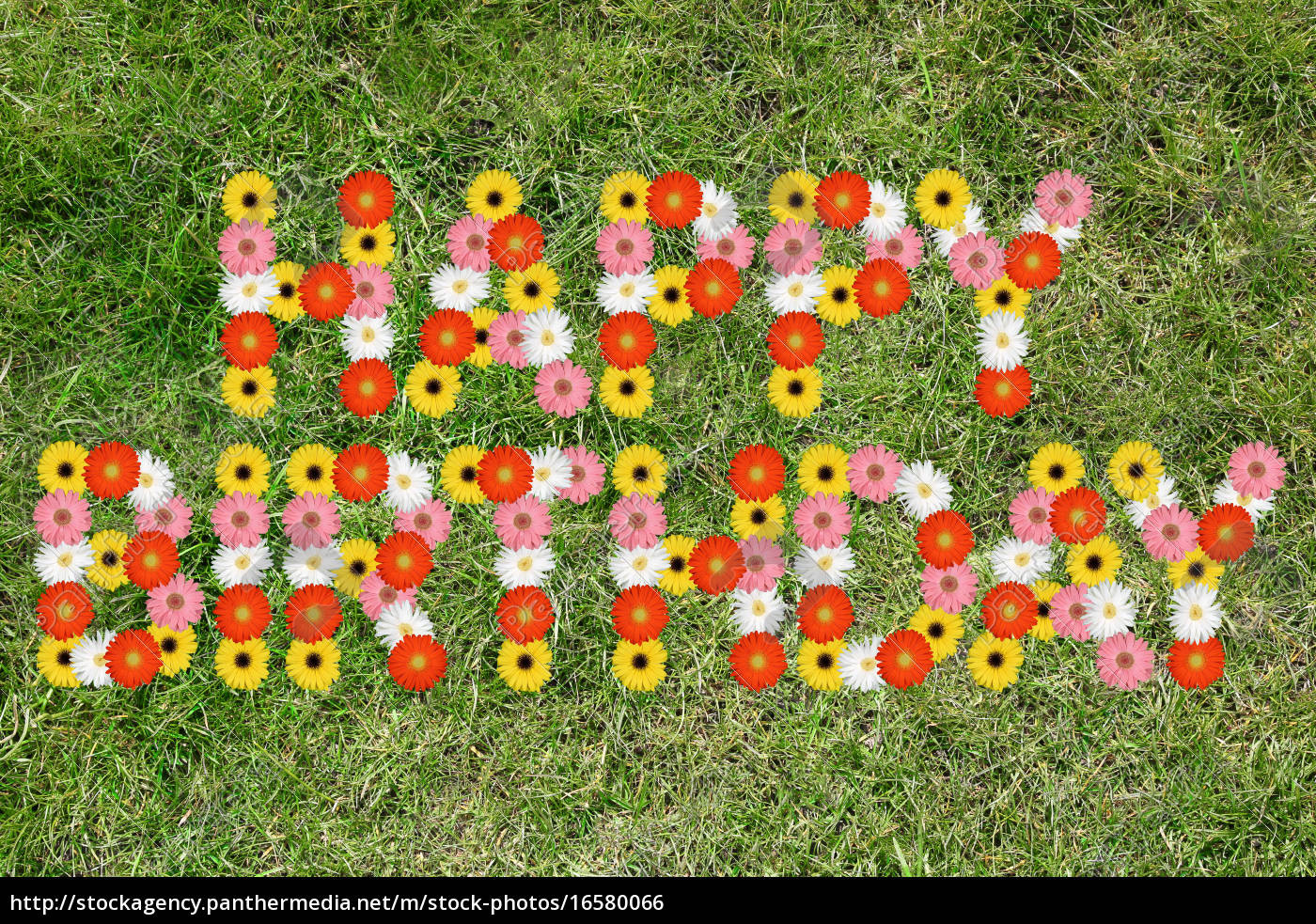 Geburtstag Blumen Bilder
 Happy Birthday Geburtstag aus Blumen Blume Gras Wiese