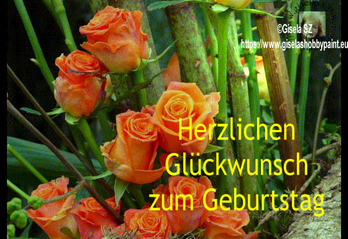 Geburtstag Blumen Gif
 Herzlichen Glückwunsch Zum Geburtstag Lustig Gif Zum