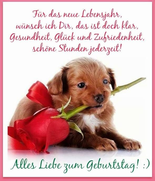 Geburtstagsbilder Hund
 25 best ideas about Alles Gute Zum Geburtstag Hund auf