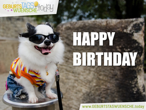 Geburtstagsbilder Hund
 Kostenlose Geburtstagsbilder lustiges Bild "Happy Birthday"