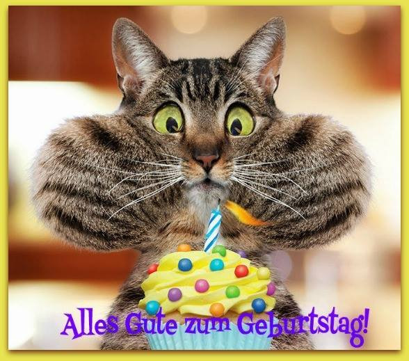 Geburtstagsbilder Katzen
 Lustige Katze mit Geburtstagstorte Alles Gute zum