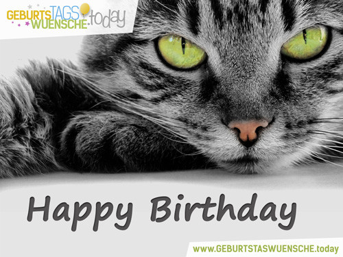 Geburtstagsbilder Katzen
 Tierische Geburtstagsbilder kostenlos online teilen