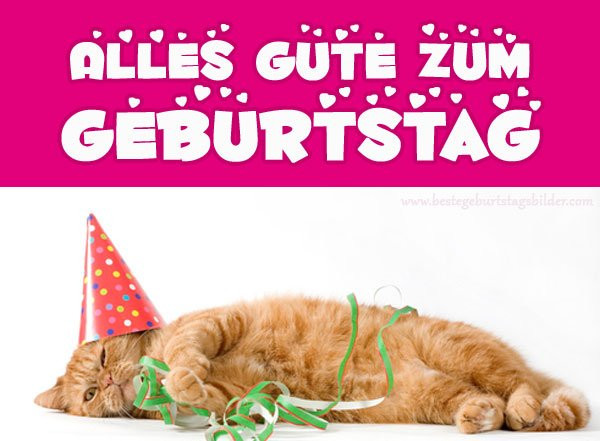 Geburtstagsbilder Katzen
 geburtstagsbilder hashtag on Twitter