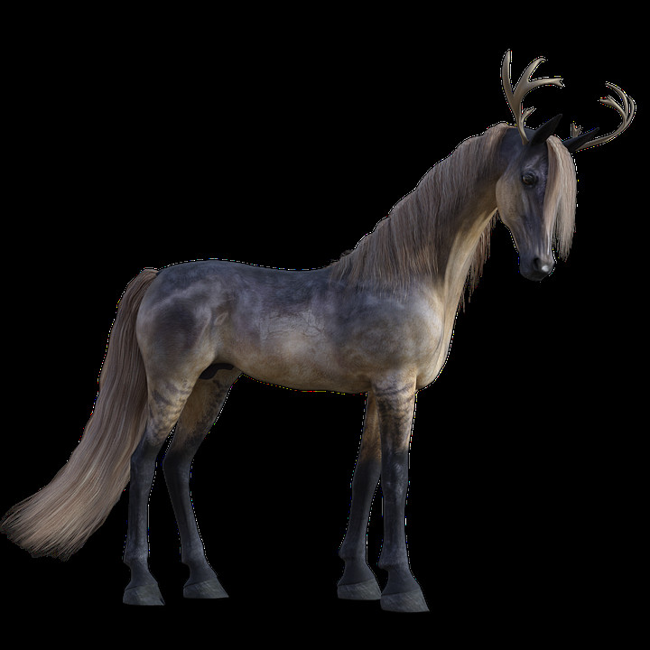 Geburtstagsbilder Pferd
 Pferd Einhorn Fantasy · Kostenloses Bild auf Pixabay