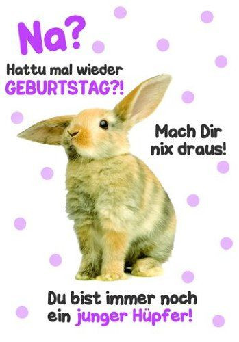 Geburtstagsbilder Witzig
 Karte Geburtstag Motiv Tierisch gut drauf lustig freche