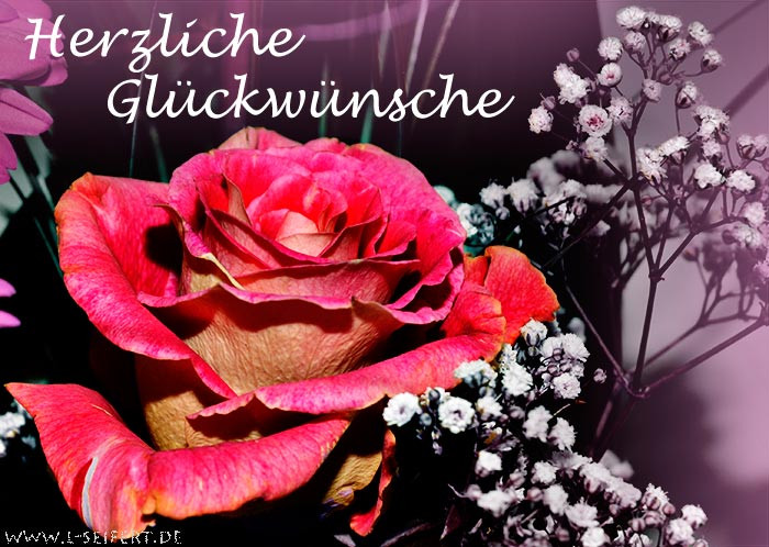 Geburtstagsglückwünsche Mit Blumen
 Glückwünsche Zum Geburtstag Rosen