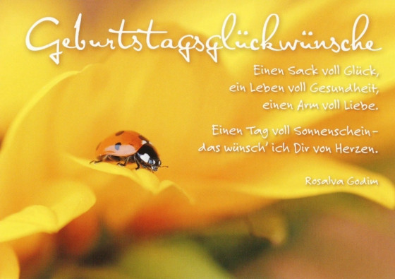 Geburtstagsglückwünsche Mit Blumen
 Schöne Geburtstagsglückwünsche Texte und Sprüche