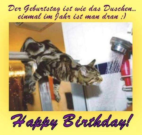 Geburtstagsgruß Katze
 Der Geburtstag ist wie das Duschen einmal im Jahr ist