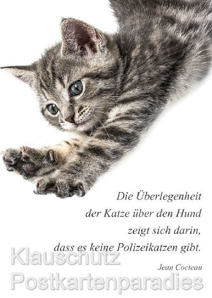 Geburtstagswünsche Katzen
 Sprüche Zum Geburtstag Katzen Lustige