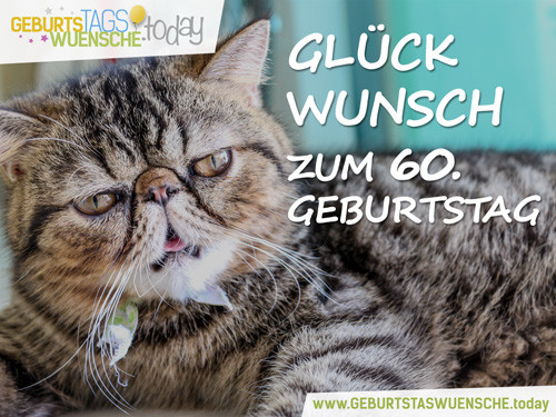 Geburtstagswünsche Katzen
 Lustige Sprüche & schöne Glückwünsche zum 60 Geburtstag