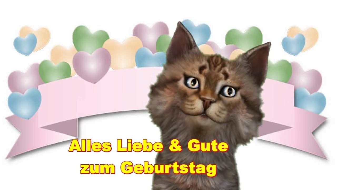 Geburtstagswünsche Katzen
 Alles Liebe zum Geburtstag Birthday t