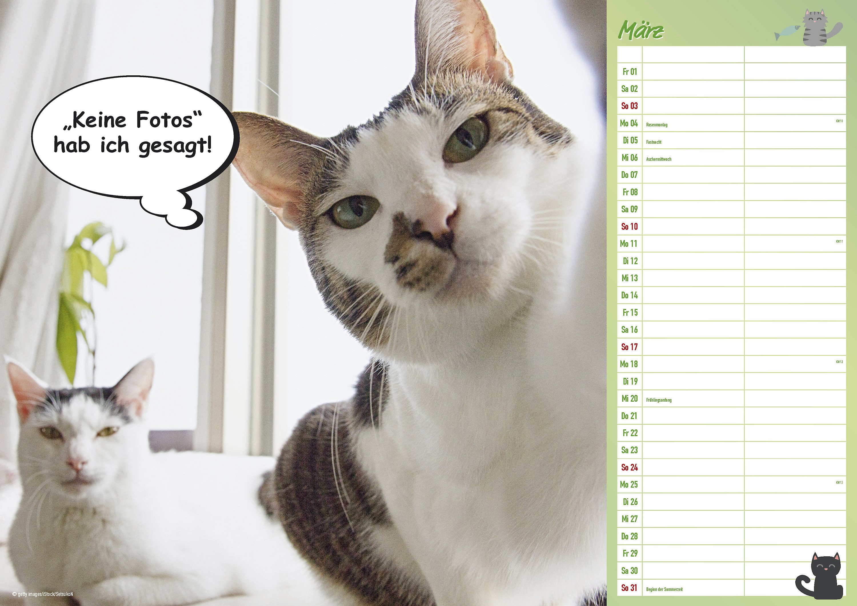 Geburtstagswünsche Mit Katzen
 Coole Katzen A3 Duo Kal 2019 Kalender bei Weltbild