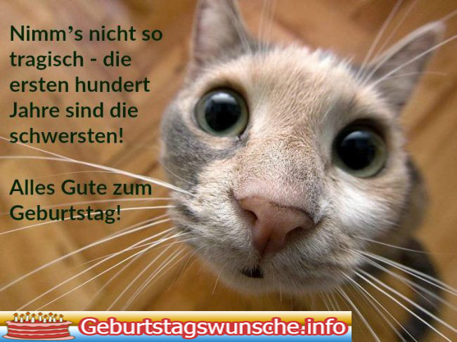 Geburtstagswünsche Mit Katzen
 Geburtstagswünsche für Ihre Haustiere Katze Katze hat