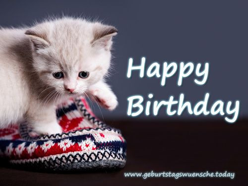 Geburtstagswünsche Mit Katzen
 Schönes Geburtstagsbild "Happy Birthday" mit süßer Katze