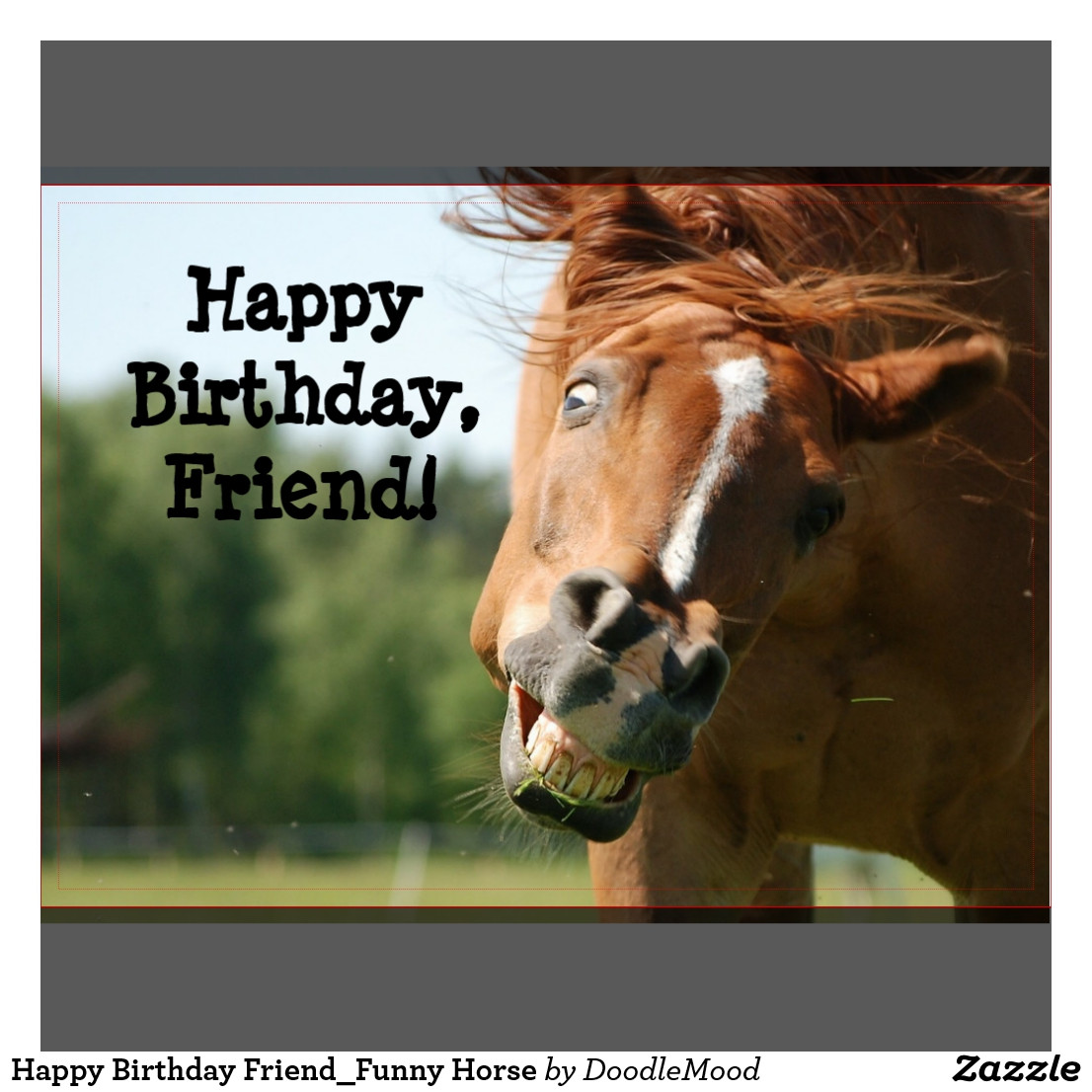 Geburtstagswünsche Pferd
 Zum Geburtstag Ein Pferd Geburtstag