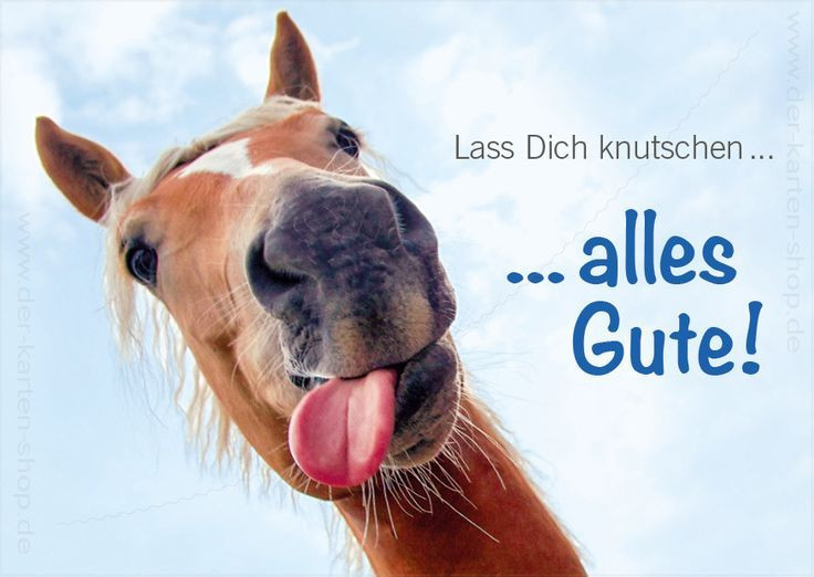 Geburtstagswünsche Pferd
 Postkarte Tierpostkarte Geburtstagskarte Pferd "Lass Dich