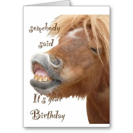 Geburtstagswünsche Pferd
 70 besten Felicitatie Bilder auf Pinterest