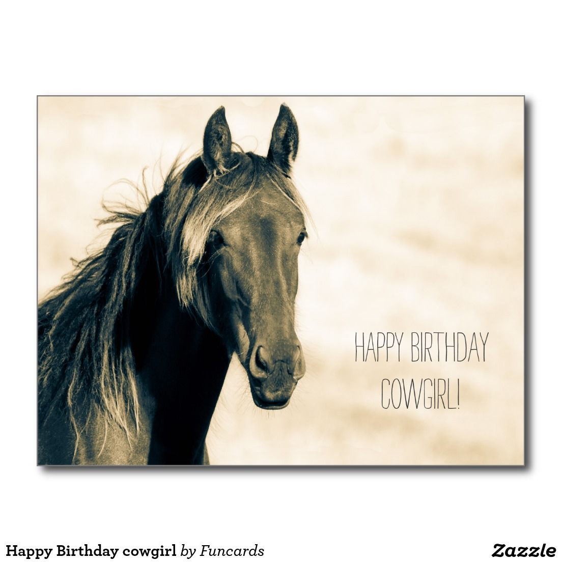 Geburtstagswünsche Pferd
 Happy Birthday cowgirl Postcard