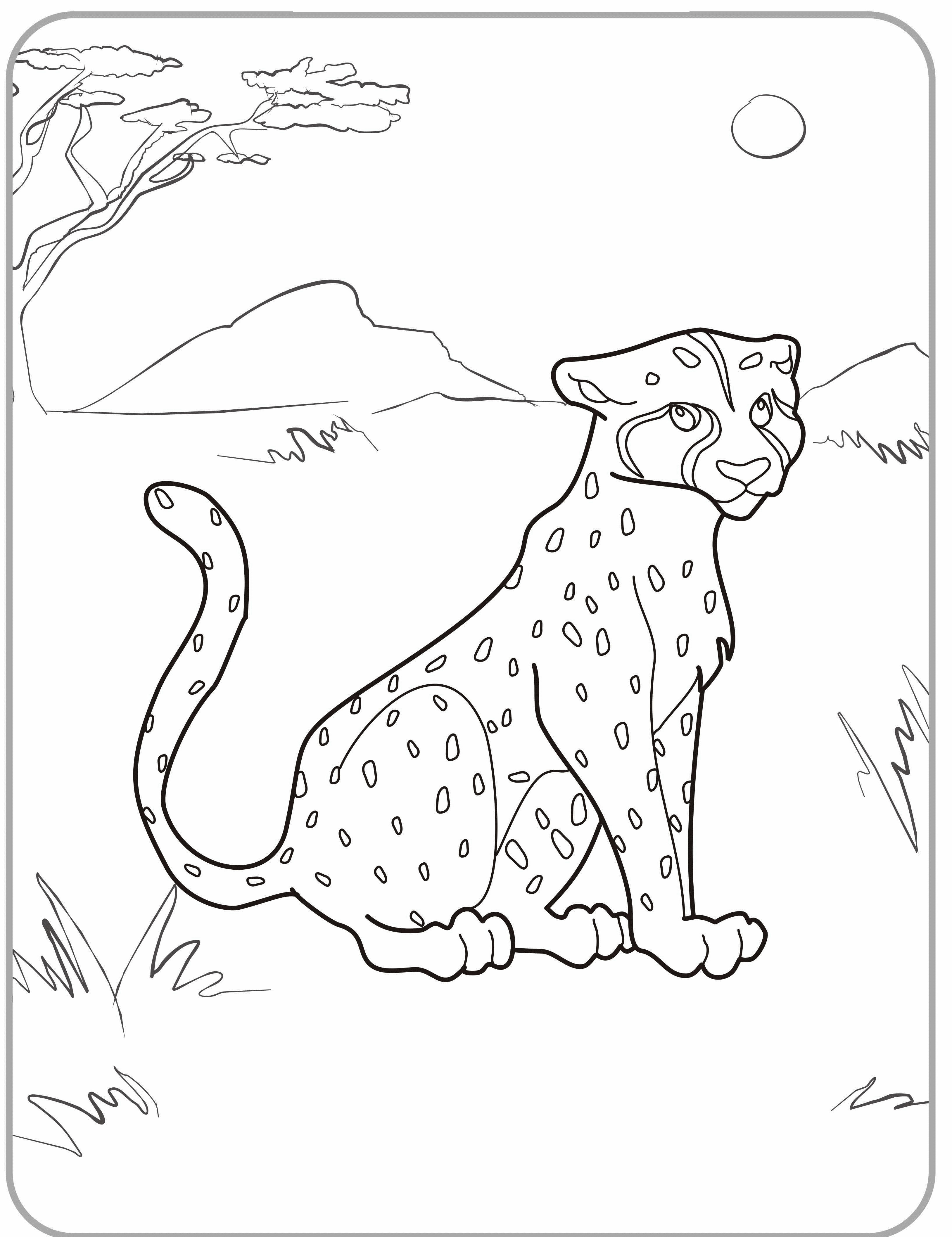 Gepard Ausmalbilder
 Ausmalbilder Malvorlagen – Gepard kostenlos zum